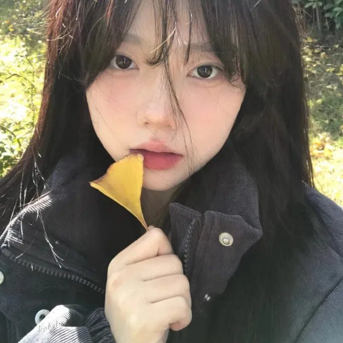 我的野蛮女友2017